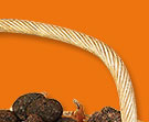 truffes